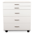 BERNINA Storage Caddie by Horn
