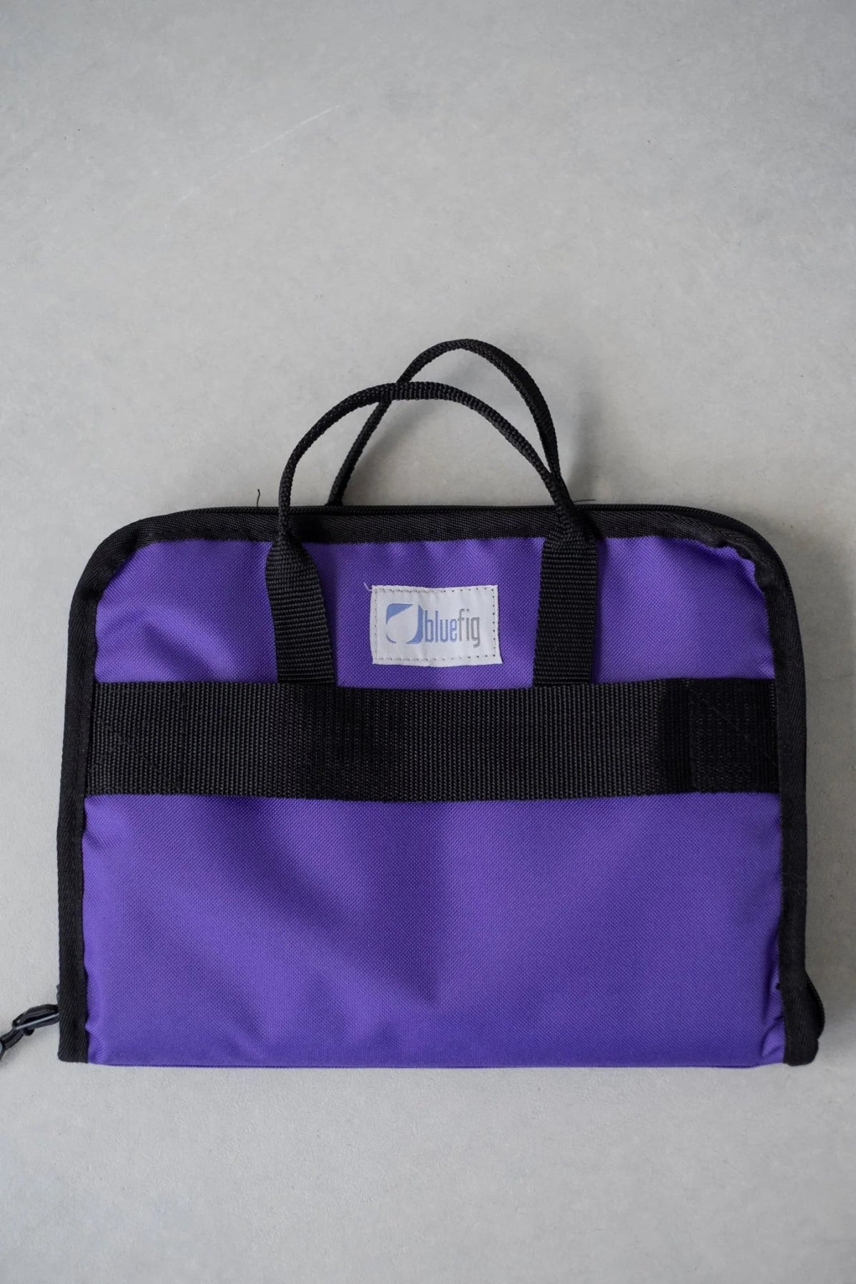 BlueFig Notions Bag