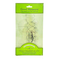 Good Measure Every Clamshell Low Shank Quilting Ruler Template Set by Amanda Murphy