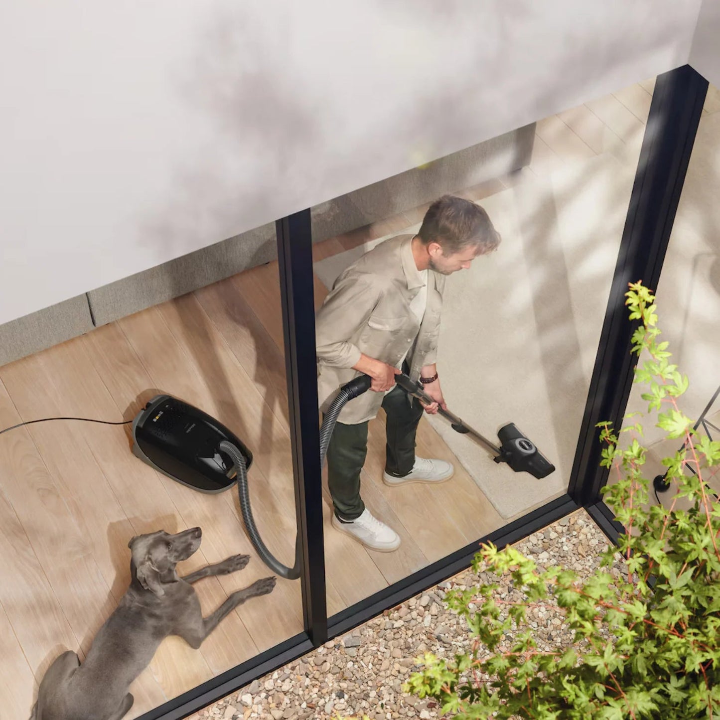 Miele Guard M1 Cat & Dog Turbo Canister Vacuum