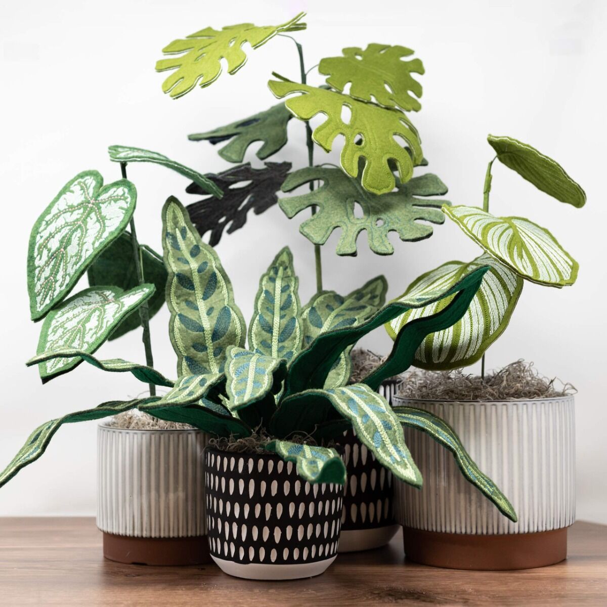 house plants accessories OESD USB