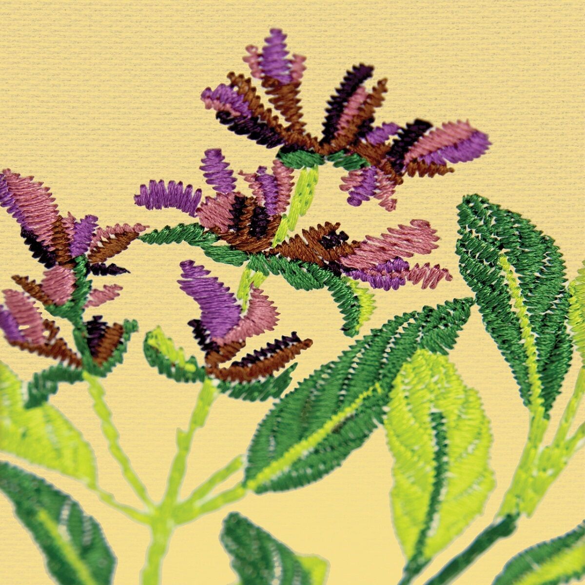 OESD Herb Garden Embroidery Design Collection | Quality Sewing