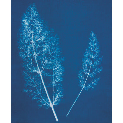 Jacquard Cyanotype Fabric Sheets package, additional view