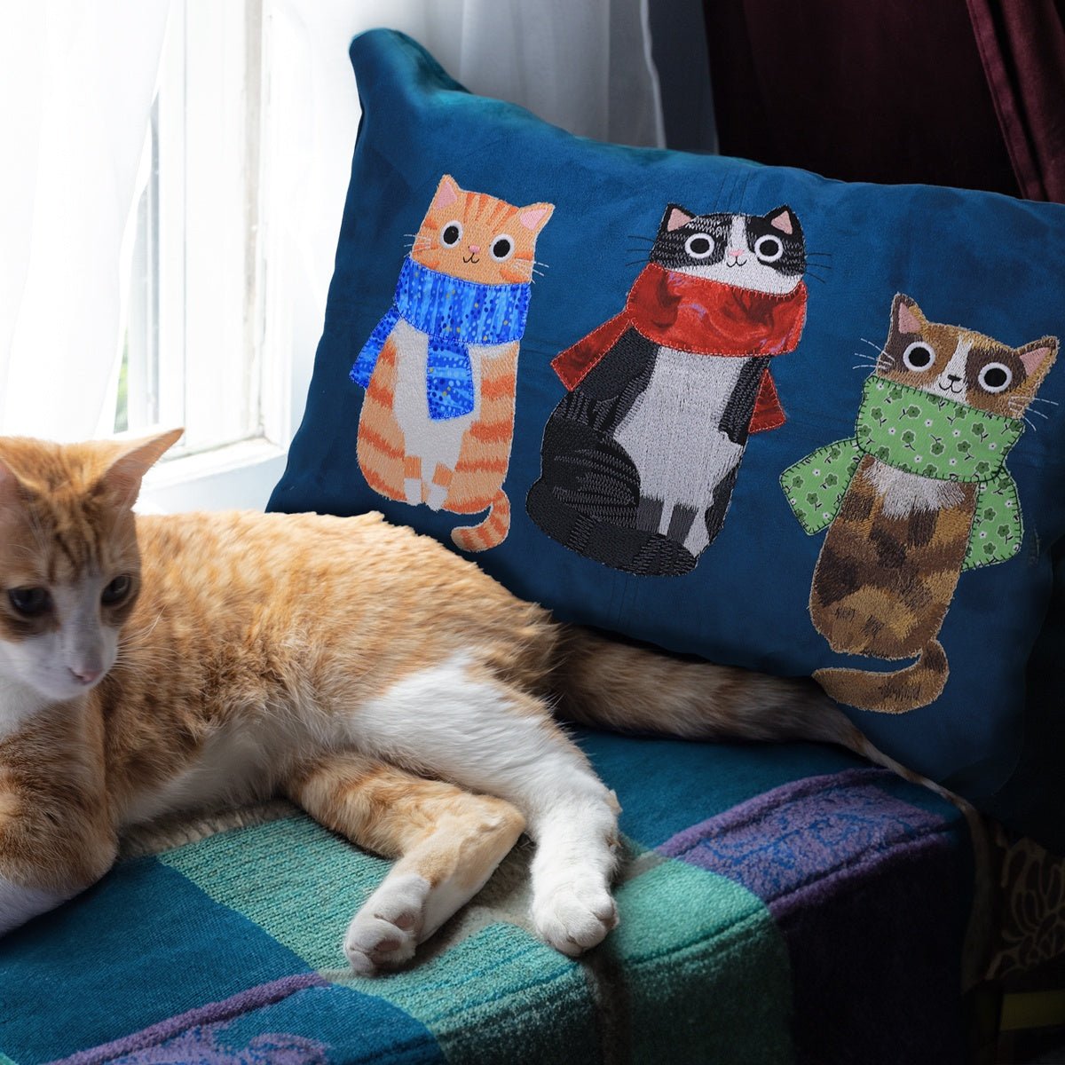 Cozy Cats Embroidery Design Collection by OESD