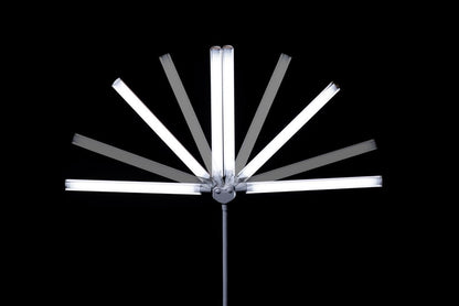 Daylight DuoPro™ Floor LED Lamp, 13V, White