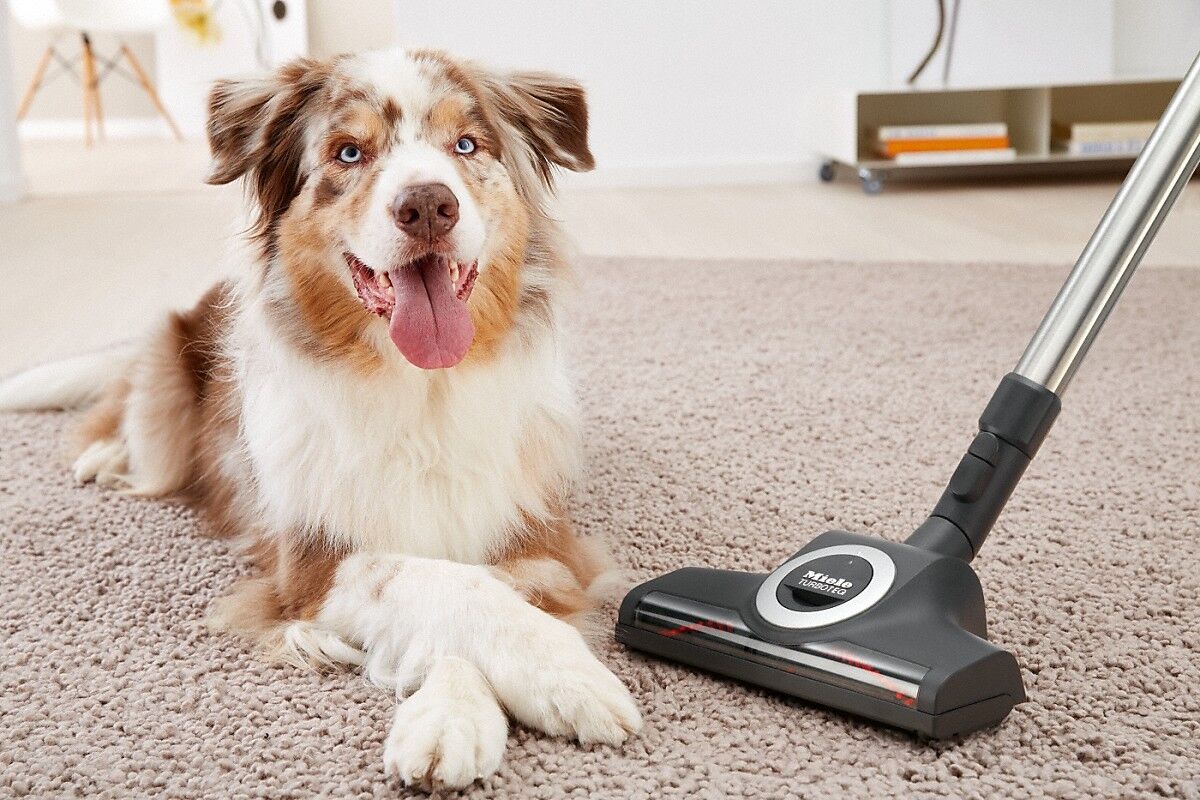 Miele STB305-3 Turbobrush,Miele STB305-3 Turbobrush Airflow Cutaway,Miele STB305-3 Turbobrush for Pets