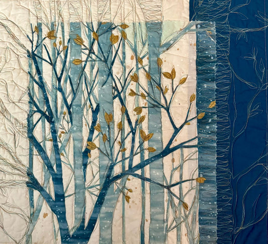 Quilting Outside of the Box Event