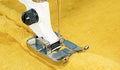 Viking Double Welt Cord Foot