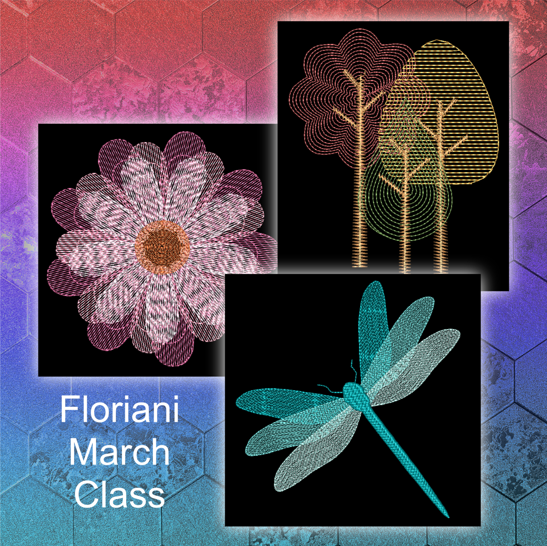 VIRTUAL: Floriani Total Control U Intermediate to Advanced Digitizing Class