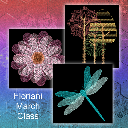 VIRTUAL: Floriani Total Control U Intermediate to Advanced Digitizing Class