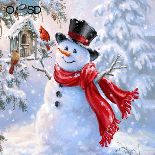 OESD Happy Snowman by Dona Gelsinger | Quality Sewing