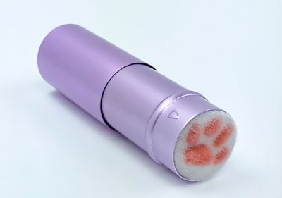Cat Paw Lint Brush